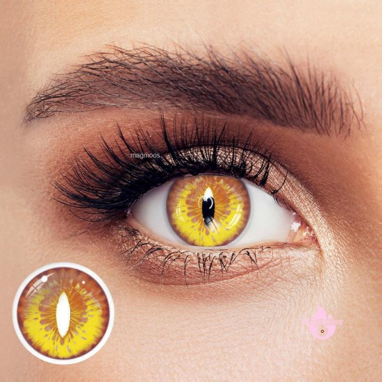 Magmoos Dragon Yellow Coloured Contact Lenses Clariti